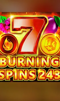 Danielle gerade gewonnen 0,10 zł Burning Spins 243